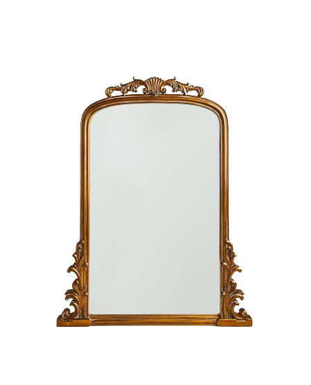 2377106303_1_1_1-removebg-preview